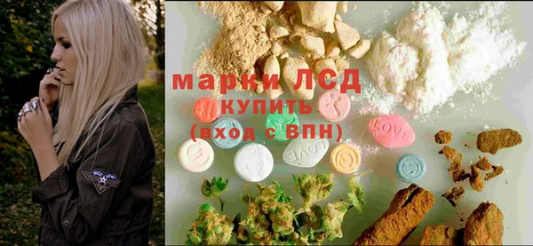стафф Богданович