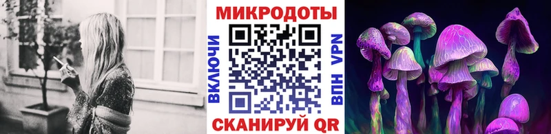 ОМГ ОМГ ССЫЛКА  Власиха  Псилоцибиновые грибы GOLDEN TEACHER 